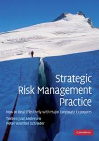 Cover: 9780521132152 | Strategic Risk Management Practice | Torben Juul Andersen (u. a.)