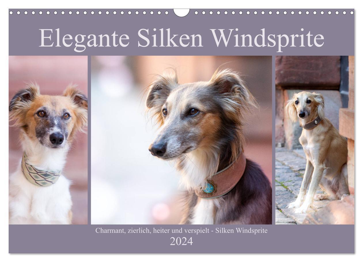 Cover: 9783383000638 | Elegante Silken Windsprite (Wandkalender 2024 DIN A3 quer),...