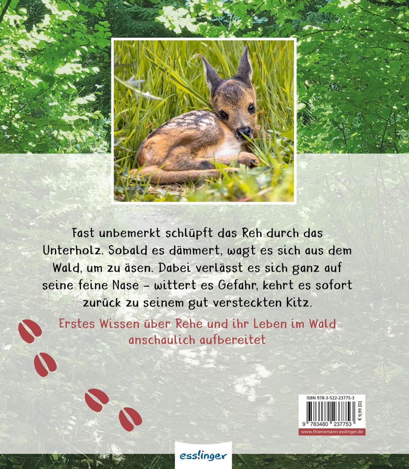 Rückseite: 9783480237753 | Meine große Tierbibliothek: Das Reh | Jens Poschadel | Buch | 32 S.