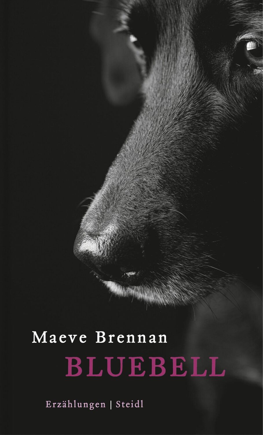 Cover: 9783869306643 | Bluebell | Maeve Brennan | Buch | 80 S. | Deutsch | 2013