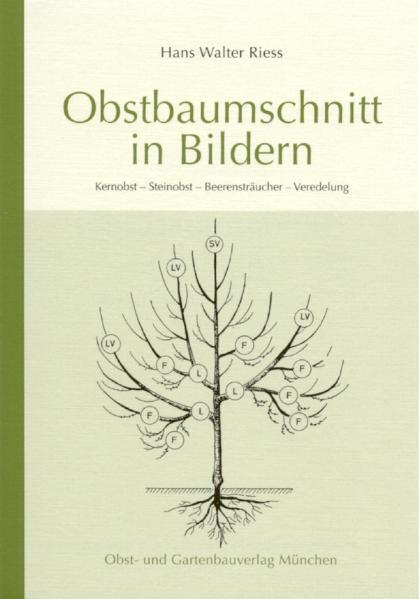 Cover: 9783875960457 | Obstbaumschnitt in Bildern | Hans Walter Riess | Taschenbuch | Deutsch