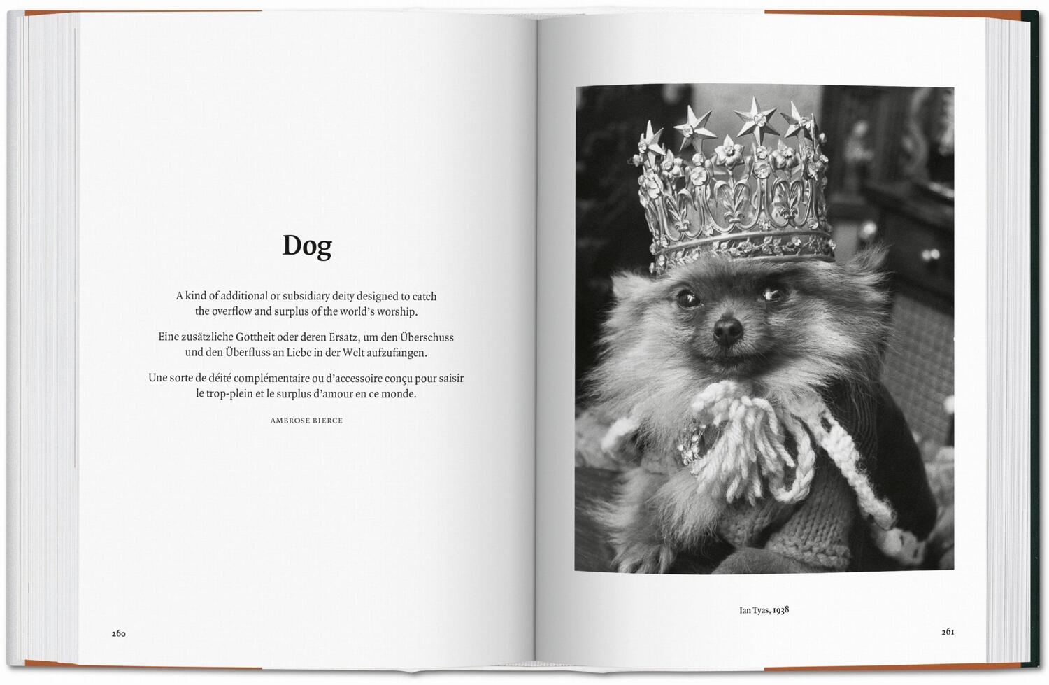 Bild: 9783836567473 | The Dog in Photography 1839-Today | Raymond Merritt | Buch | Hardcover