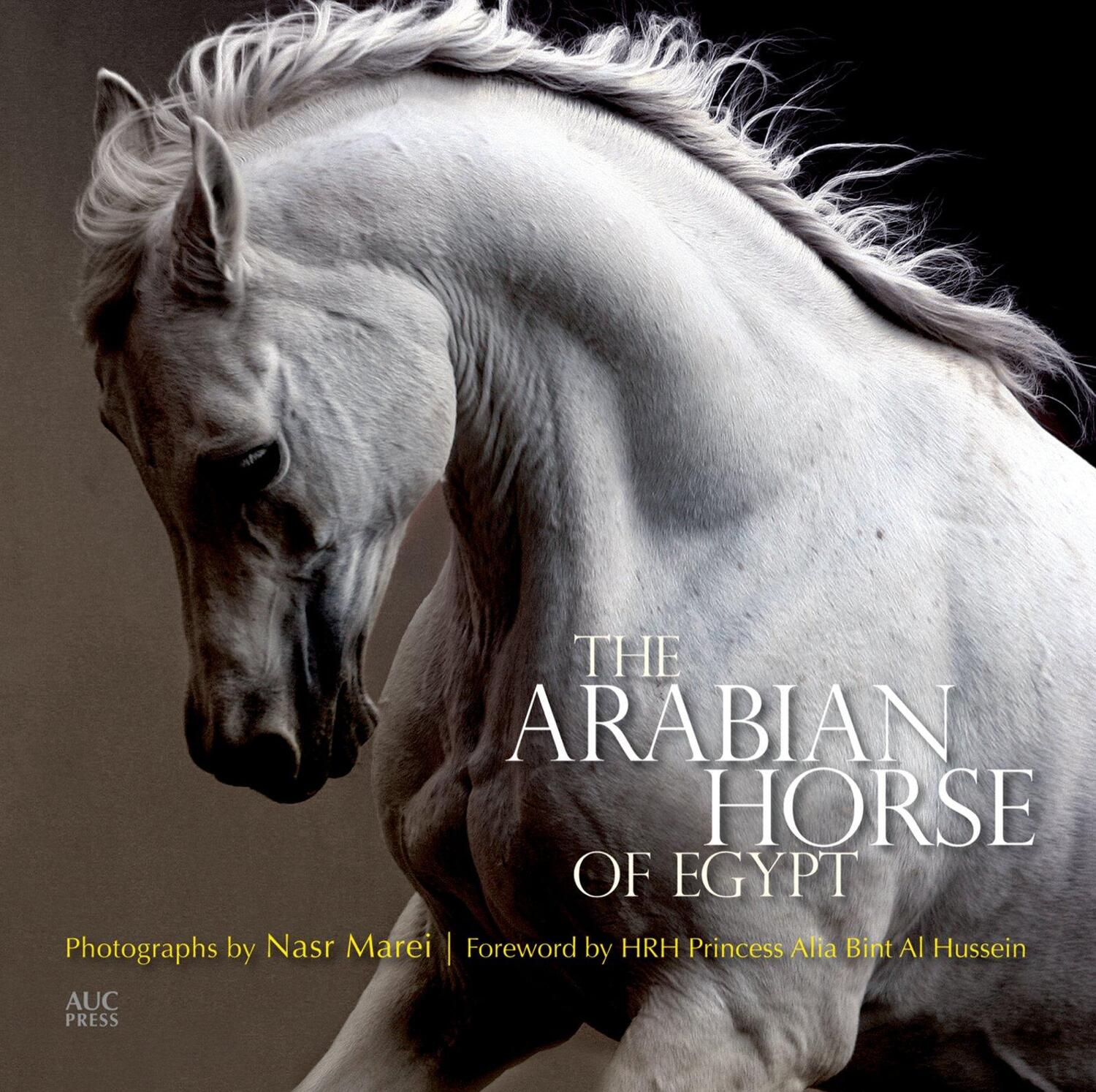 Cover: 9789774166655 | The Arabian Horse of Egypt | Cynthia Culbertson (u. a.) | Taschenbuch