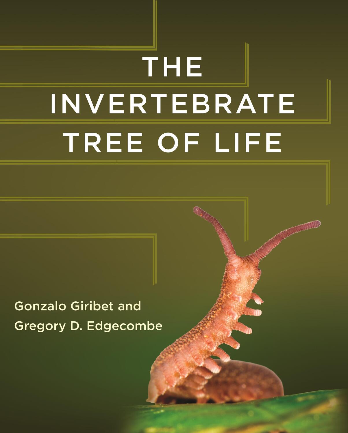Cover: 9780691170251 | The Invertebrate Tree of Life | Gonzalo Giribet (u. a.) | Buch | 2020