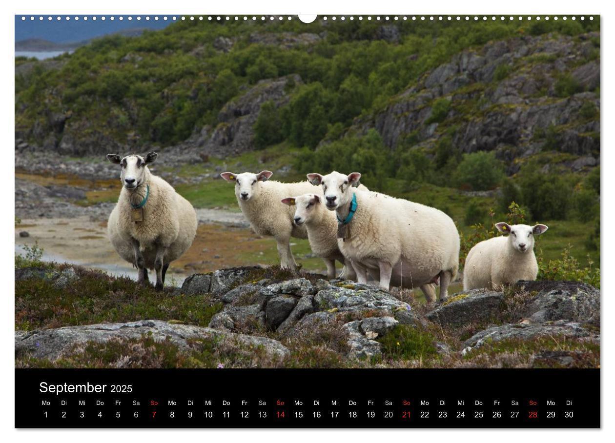 Bild: 9783435768486 | Norwegen - Faszination des Nordens (Wandkalender 2025 DIN A2 quer),...