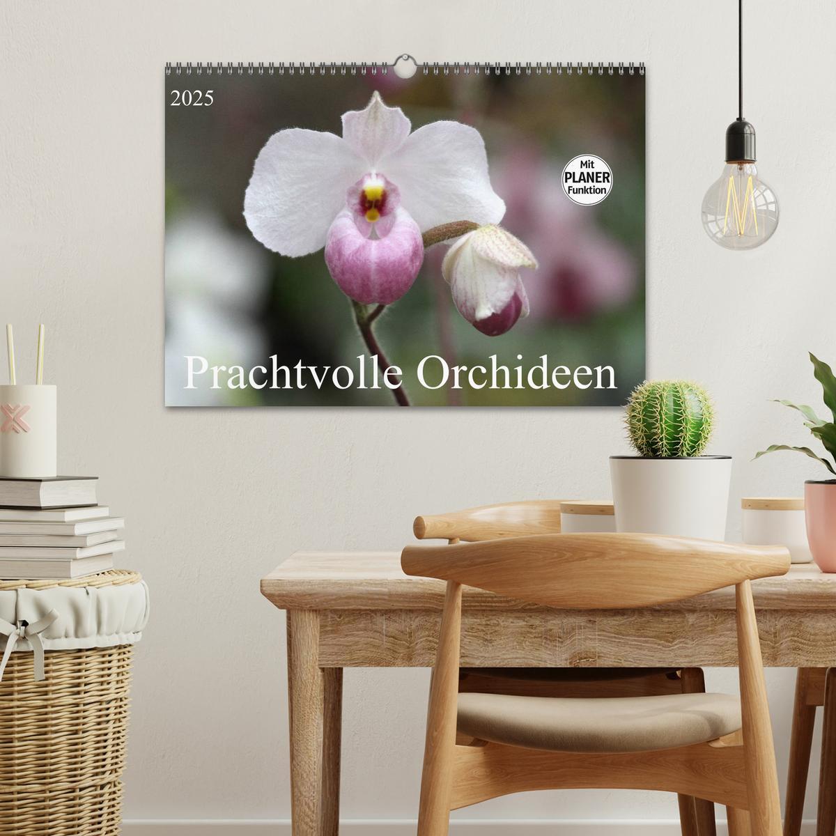 Bild: 9783435532780 | Prachtvolle Orchideen (Wandkalender 2025 DIN A3 quer), CALVENDO...