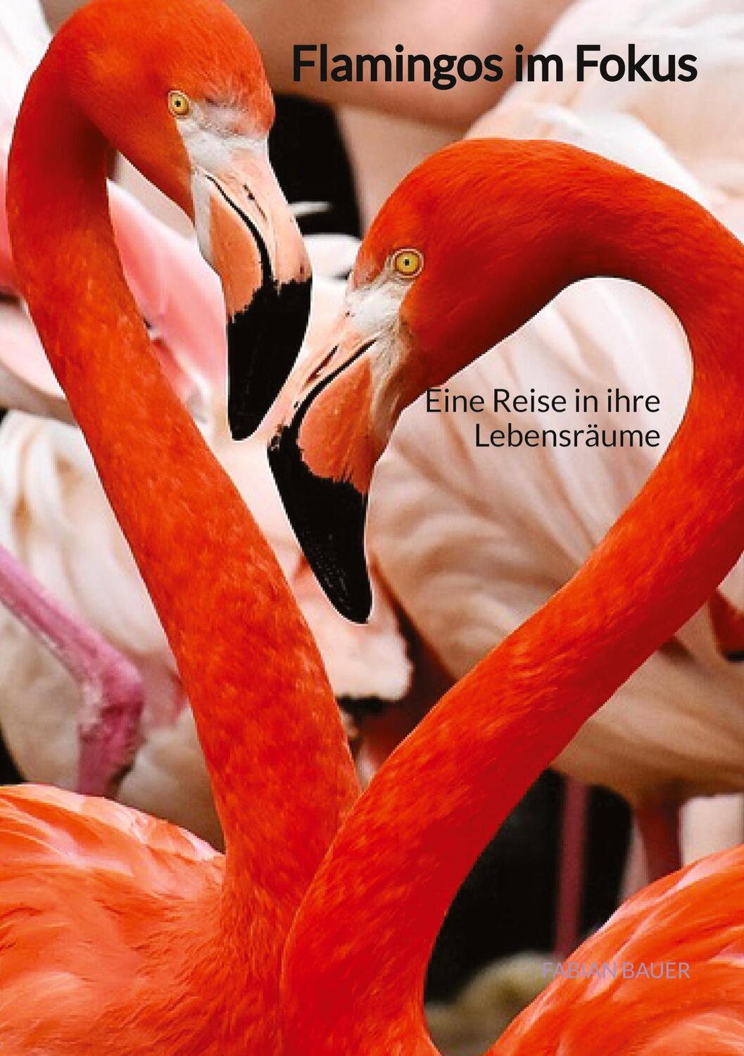 Cover: 9783347889163 | Flamingos im Fokus | Eine Reise in ihre Lebensräume | Fabian Bauer