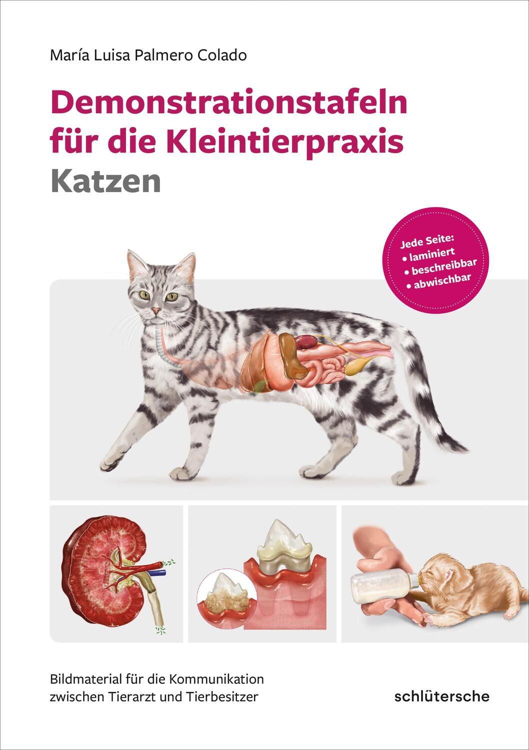 Cover: 9783842600638 | Demonstrationstafeln für die Kleintierpraxis Katzen | Colado | Buch