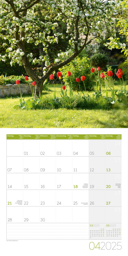 Bild: 9783838445304 | In meinem Garten Kalender 2025 - 30x30 | Ackermann Kunstverlag | 28 S.