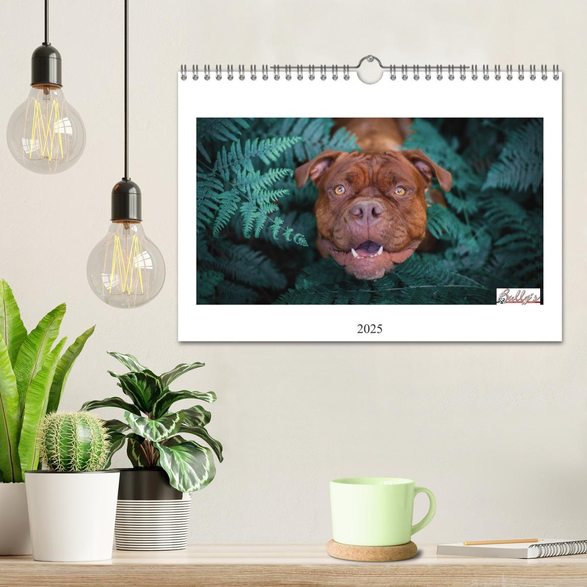 Bild: 9783435105328 | Wunderschöne Bulldoggen (Wandkalender 2025 DIN A4 quer), CALVENDO...