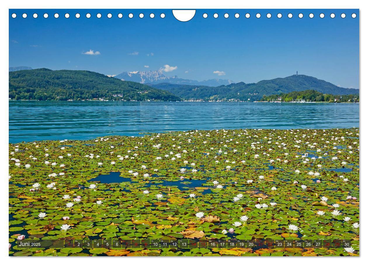 Bild: 9783383819438 | Der Wörthersee - Österreichs Riviera (Wandkalender 2025 DIN A4...