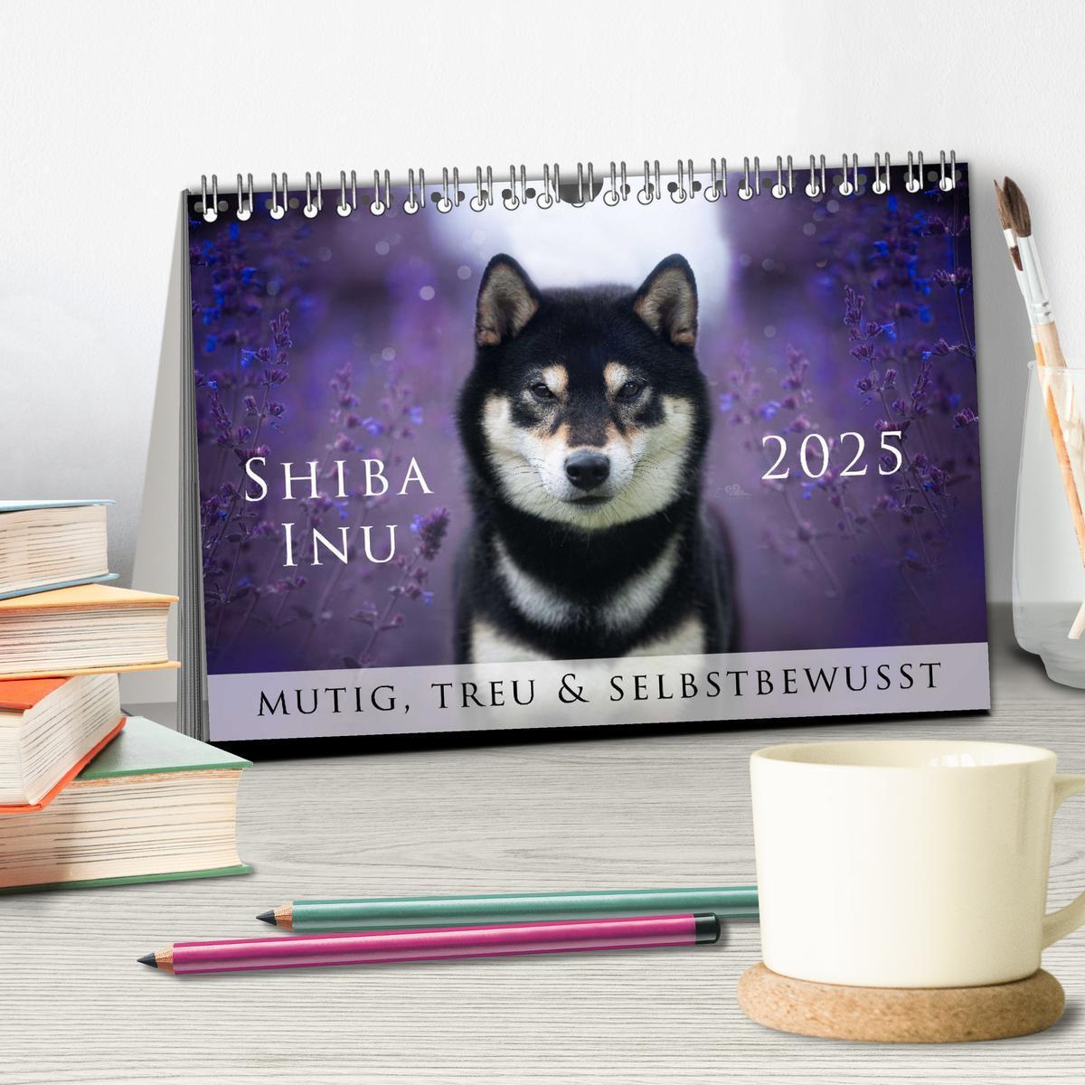 Bild: 9783457234181 | Shiba Inu - mutig, treu, selbstbewusst (Tischkalender 2025 DIN A5...