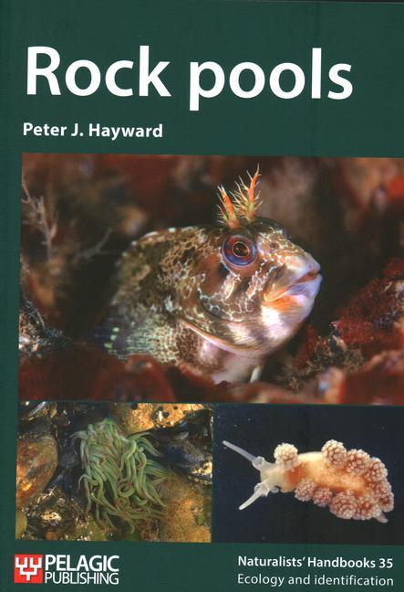 Cover: 9781784273590 | Rock Pools | Peter J. Hayward | Taschenbuch | Kartoniert / Broschiert