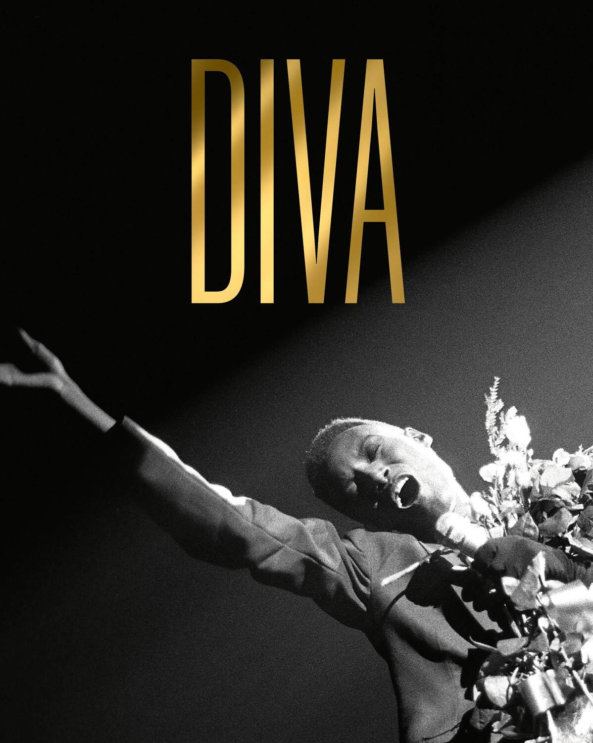 Cover: 9781838510350 | Diva | Kate Bailey | Buch | Hardback | Englisch | 2023
