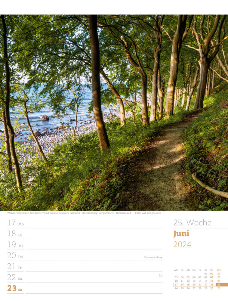 Bild: 9783838424972 | Unser Wald - Wochenplaner Kalender 2024 | Ackermann Kunstverlag | 2024