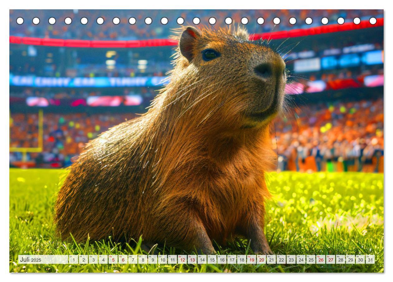 Bild: 9783457163993 | Capybaras im Alltag - Ein Jahr voller Abenteuer (Tischkalender 2025...