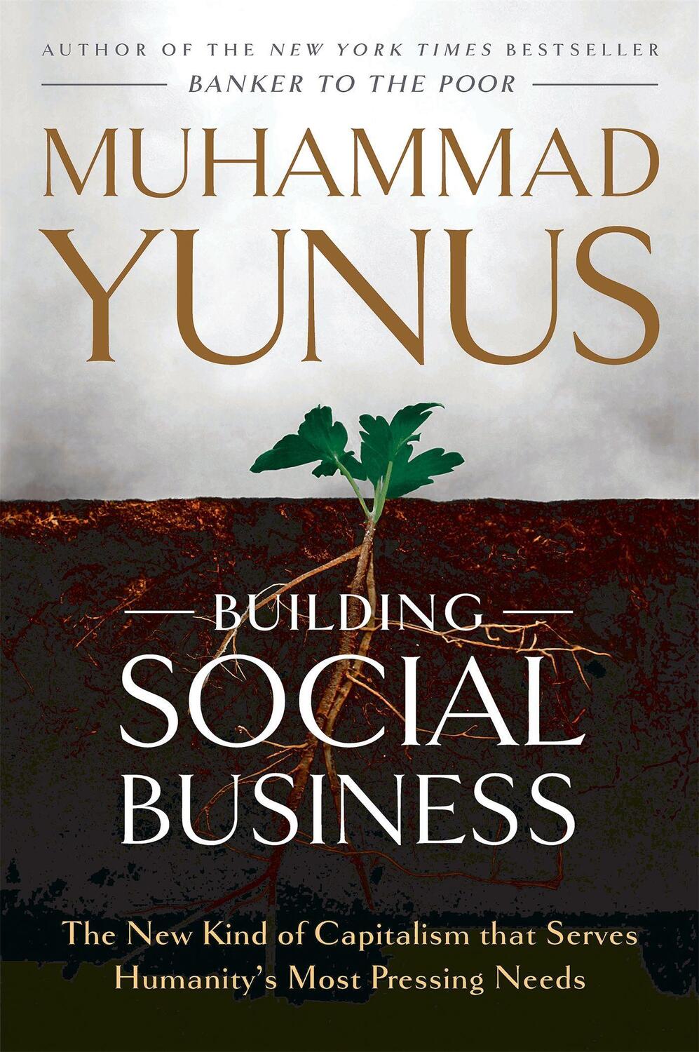 Cover: 9781586489564 | Building Social Business | Muhammad Yunus | Taschenbuch | 227 S.