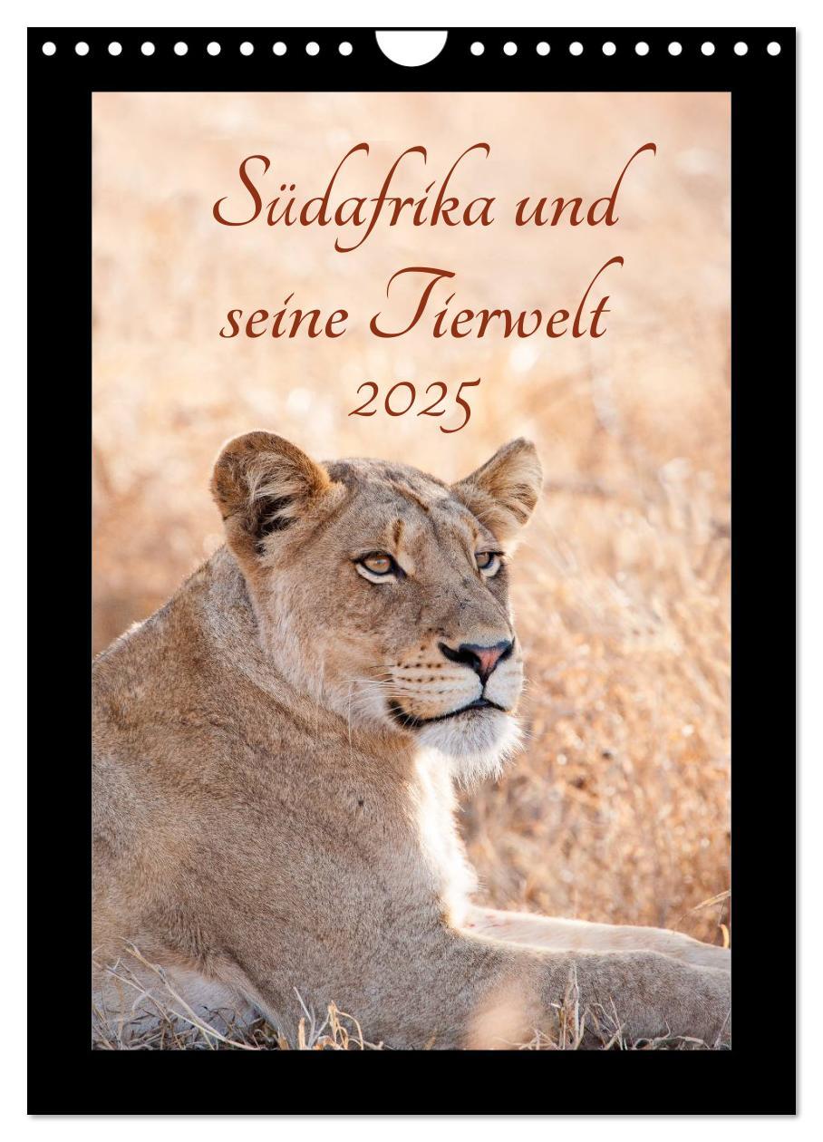 Cover: 9783457029428 | Südafrika und seine Tierwelt (Wandkalender 2025 DIN A4 hoch),...