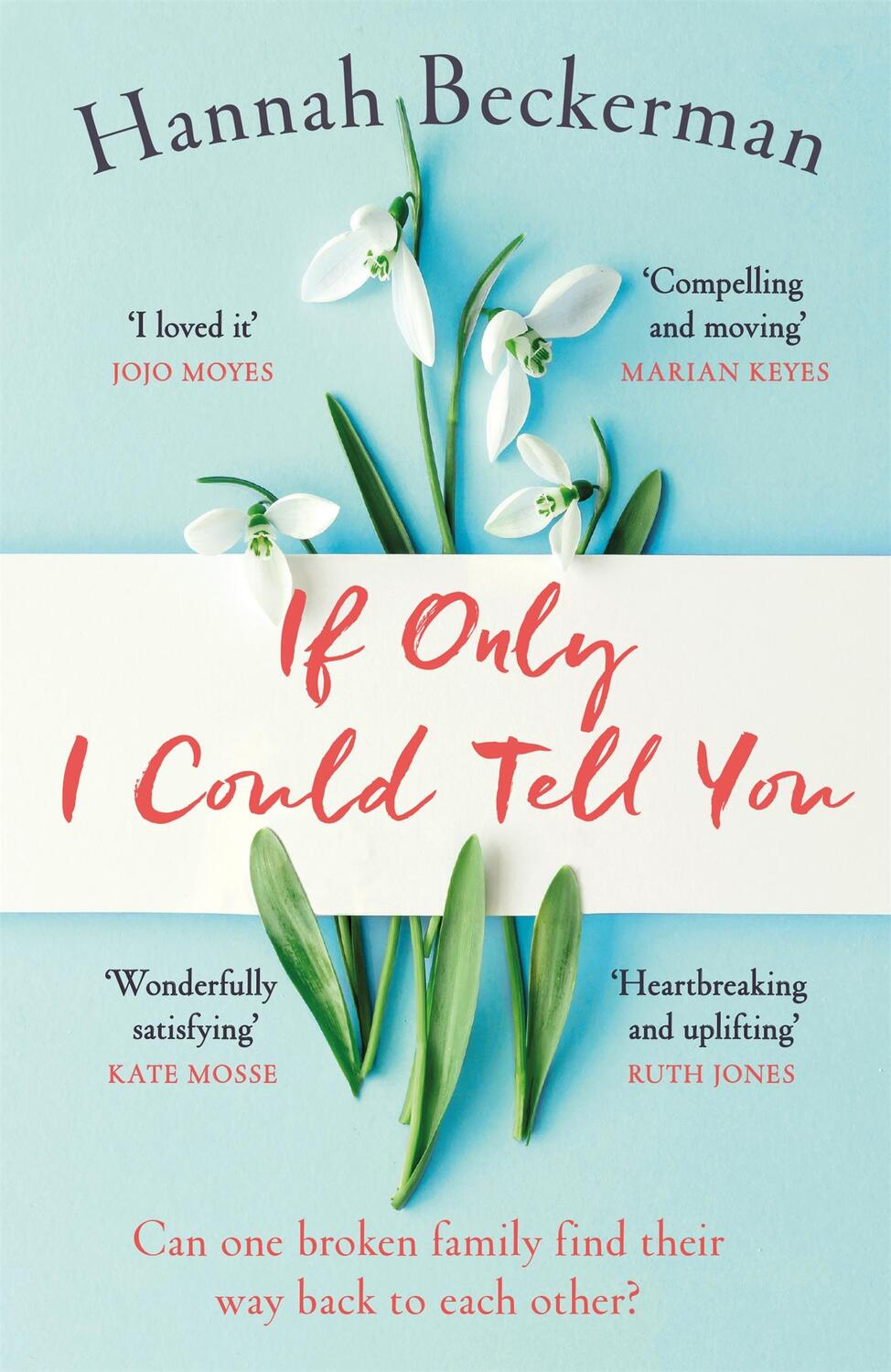 Cover: 9781409177326 | If Only I Could Tell You | Hannah Beckerman | Taschenbuch | 368 S.