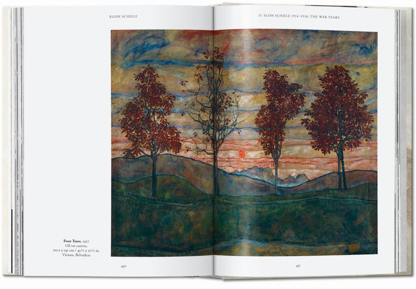 Bild: 9783836581240 | Egon Schiele. Les peintures. 40th Ed. | Tobias G. Natter | Buch | 2024