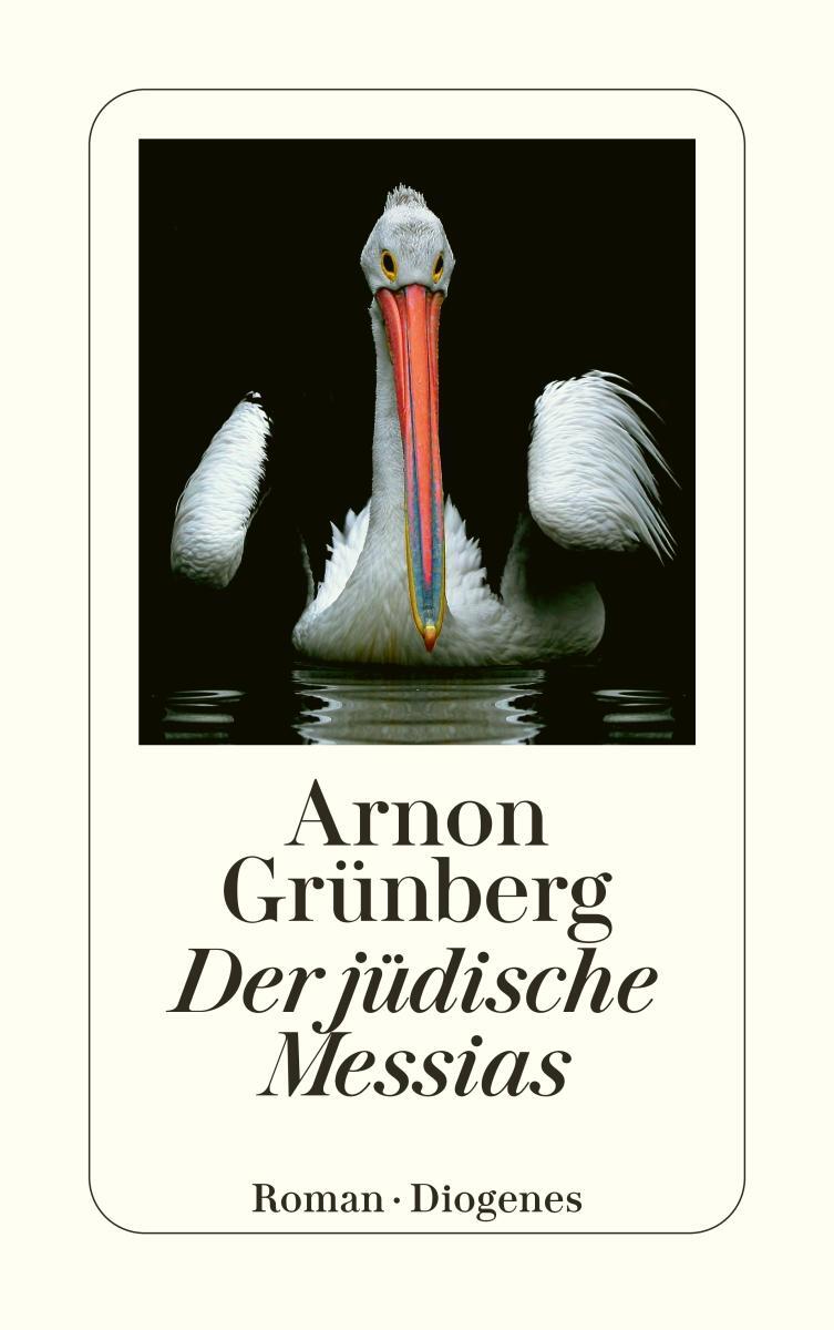 Cover: 9783257242850 | Der jüdische Messias | Arnon Grünberg | Taschenbuch | 640 S. | Deutsch