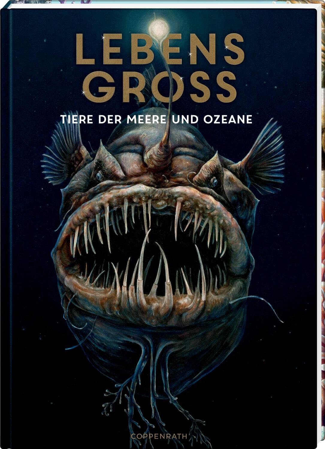 Cover: 9783649640936 | Lebensgroß | Tiere der Meere und Ozeane | Holger Haag | Buch | Deutsch