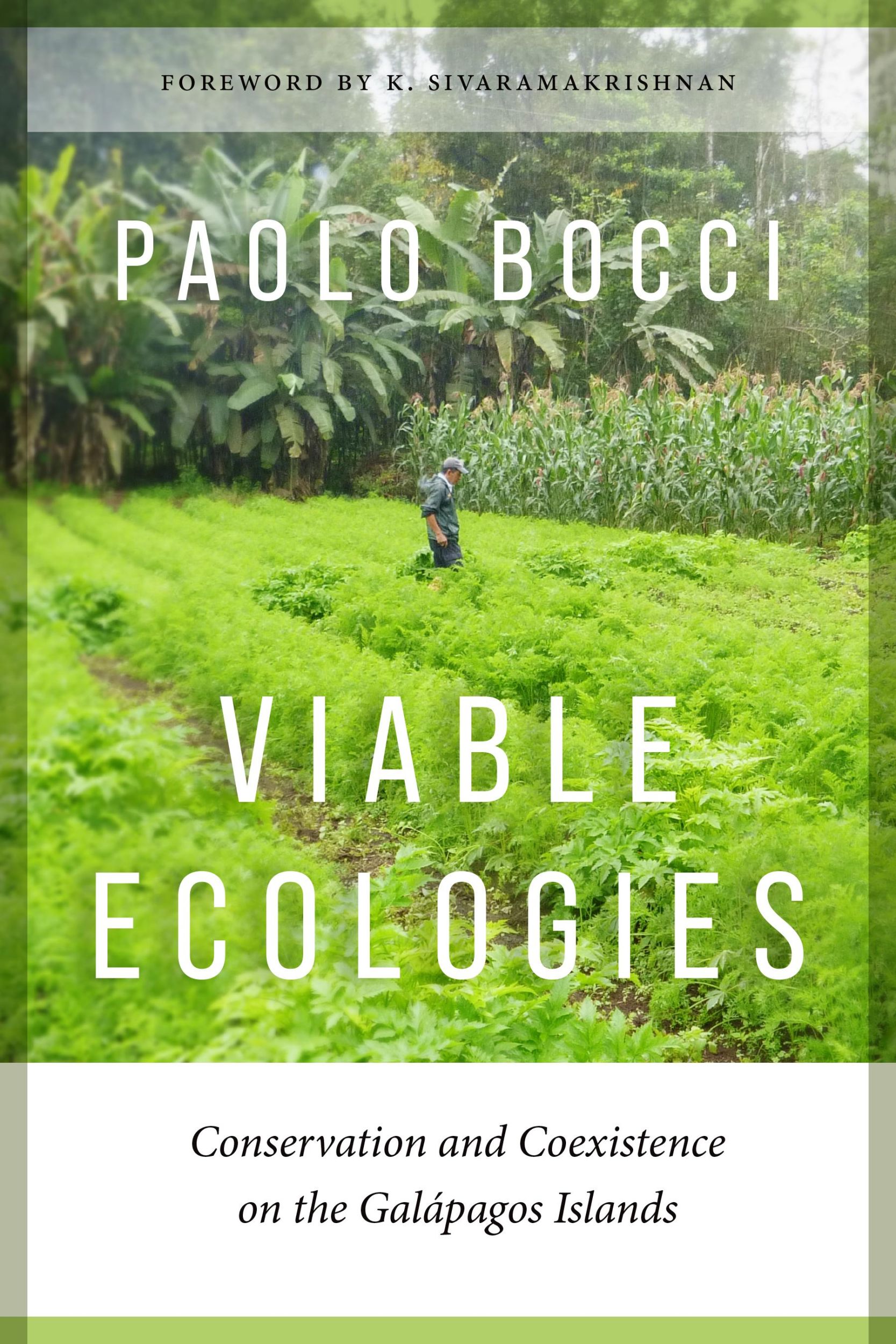 Cover: 9780295753447 | Viable Ecologies | Paolo Bocci | Taschenbuch | Englisch | 2024