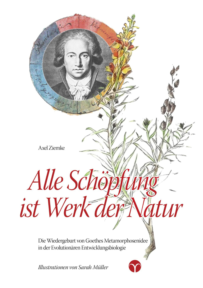 Cover: 9783957790309 | Alle Schöpfung ist Werk der Natur | Axel Ziemke | Taschenbuch | 190 S.