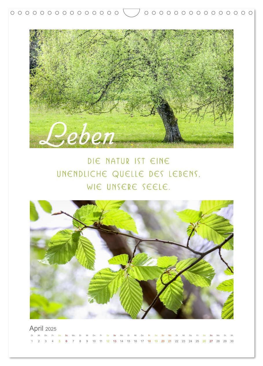 Bild: 9783457028407 | Quellen der Inspiration (Wandkalender 2025 DIN A3 hoch), CALVENDO...