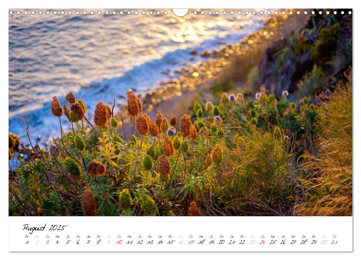 Bild: 9783435561933 | Madeira - ewiger Frühling (Wandkalender 2025 DIN A3 quer), CALVENDO...