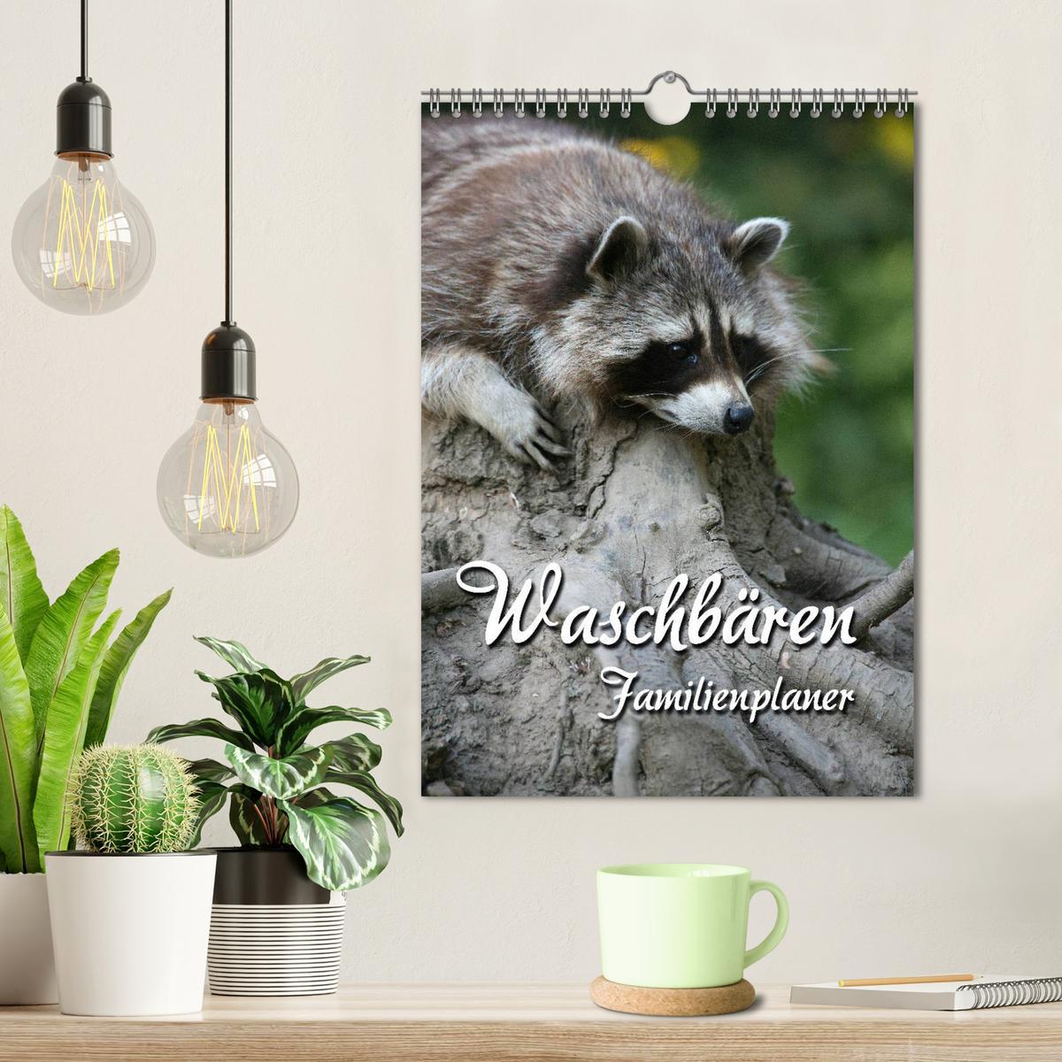 Bild: 9783457077276 | Waschbären Familienplaner (Wandkalender 2025 DIN A4 hoch), CALVENDO...