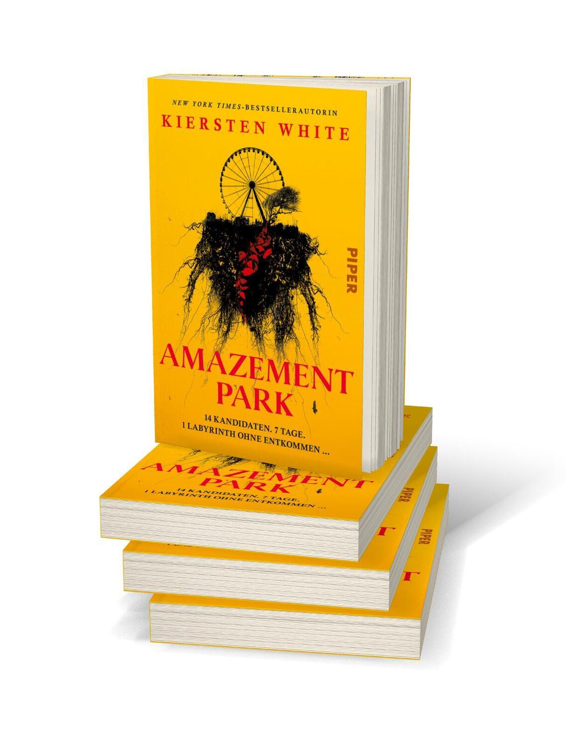 Bild: 9783492706391 | Amazement Park | Kiersten White | Taschenbuch | 336 S. | Deutsch