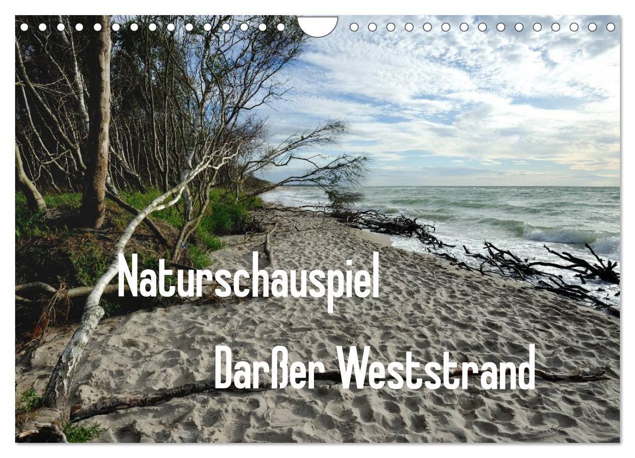 Cover: 9783435476152 | Naturschauspiel Darßer Weststrand (Wandkalender 2025 DIN A4 quer),...