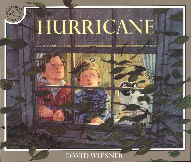 Cover: 9780395629741 | Hurricane | David Wiesner | Taschenbuch | Englisch | 1992