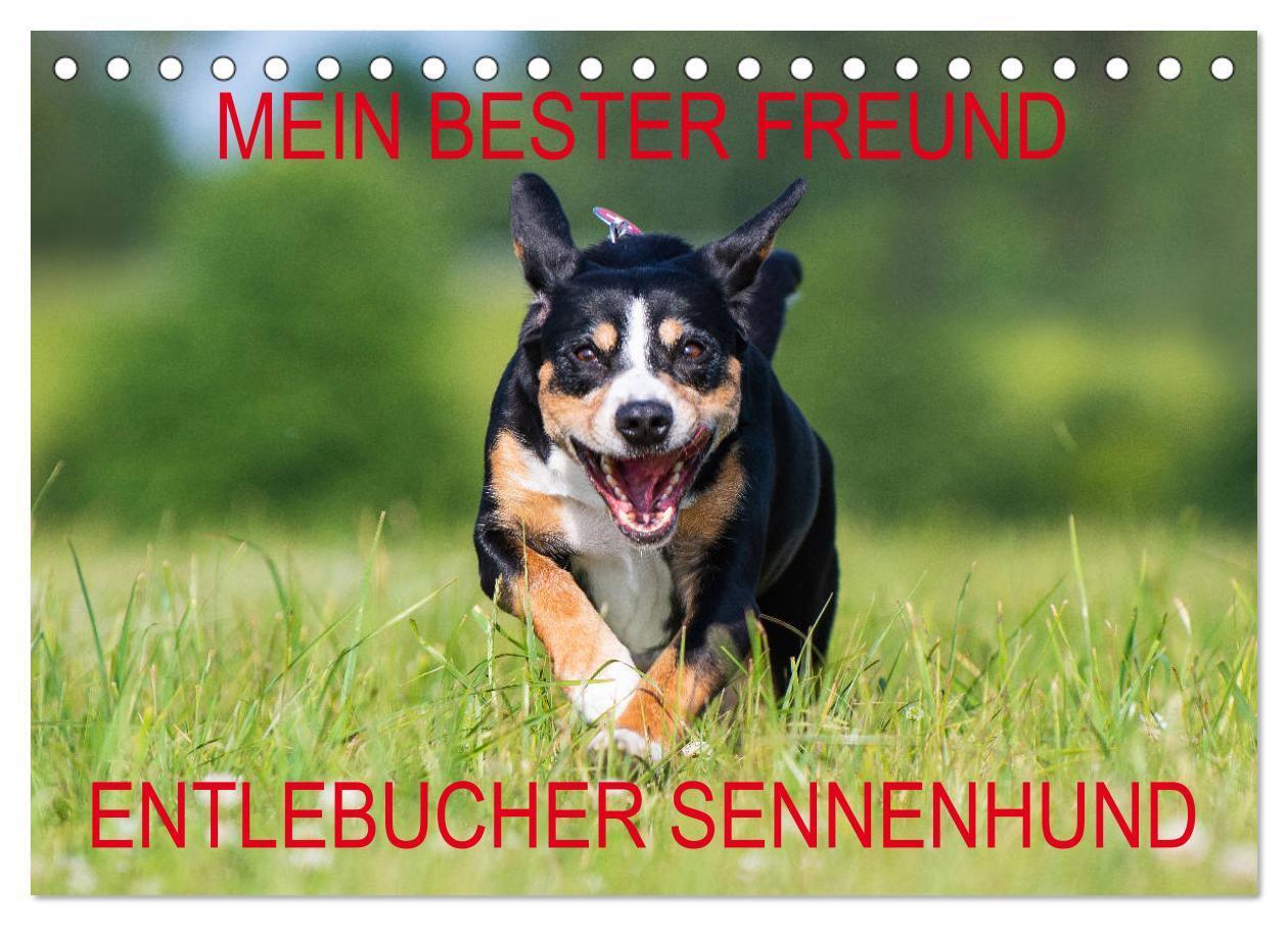 Cover: 9783675895423 | Mein bester Freund - Entlebucher Sennenhund (Tischkalender 2024 DIN...