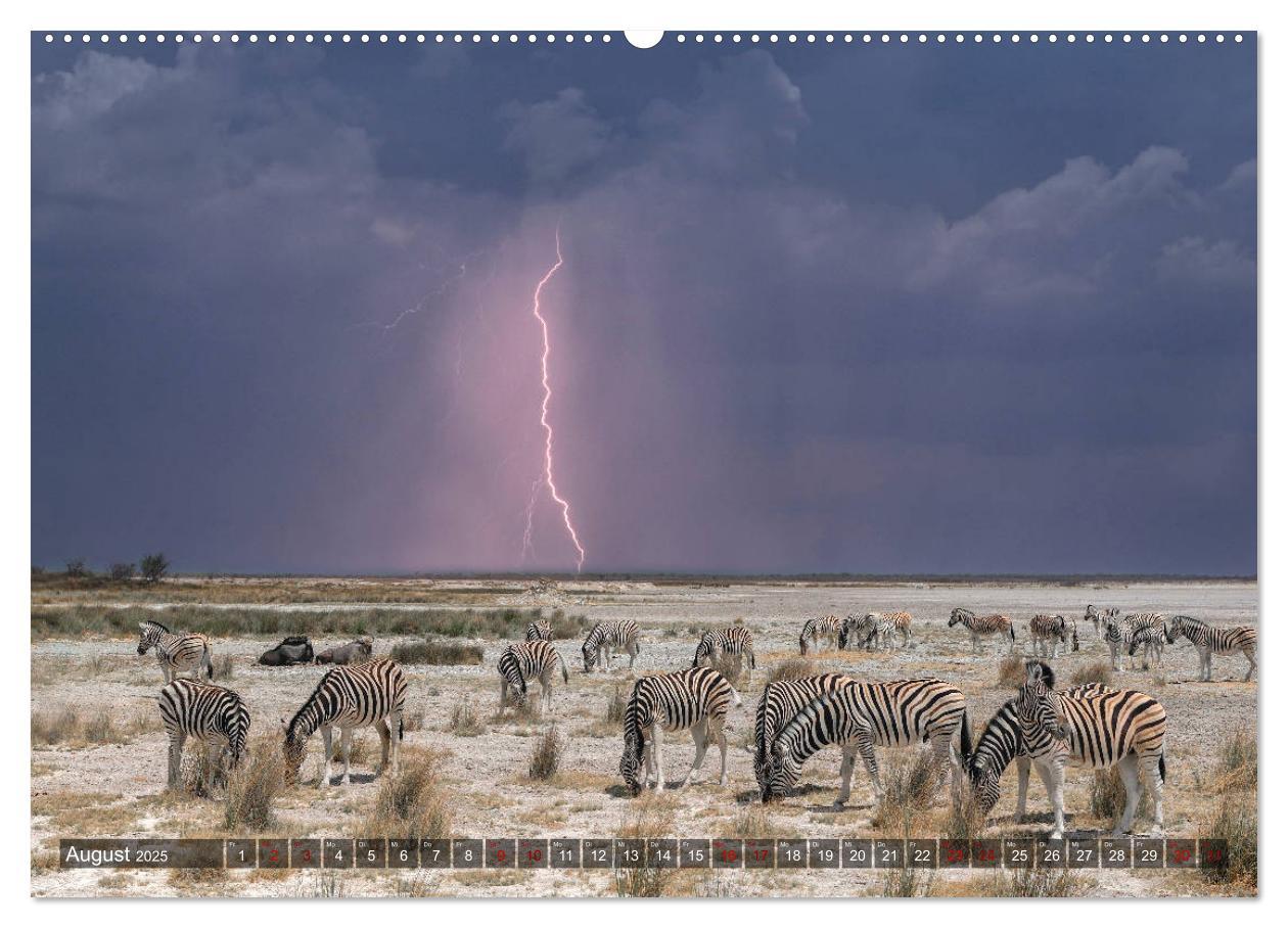 Bild: 9783435118694 | Afrikas Tierwelt, Safari im südlichen Afrika (Wandkalender 2025 DIN...