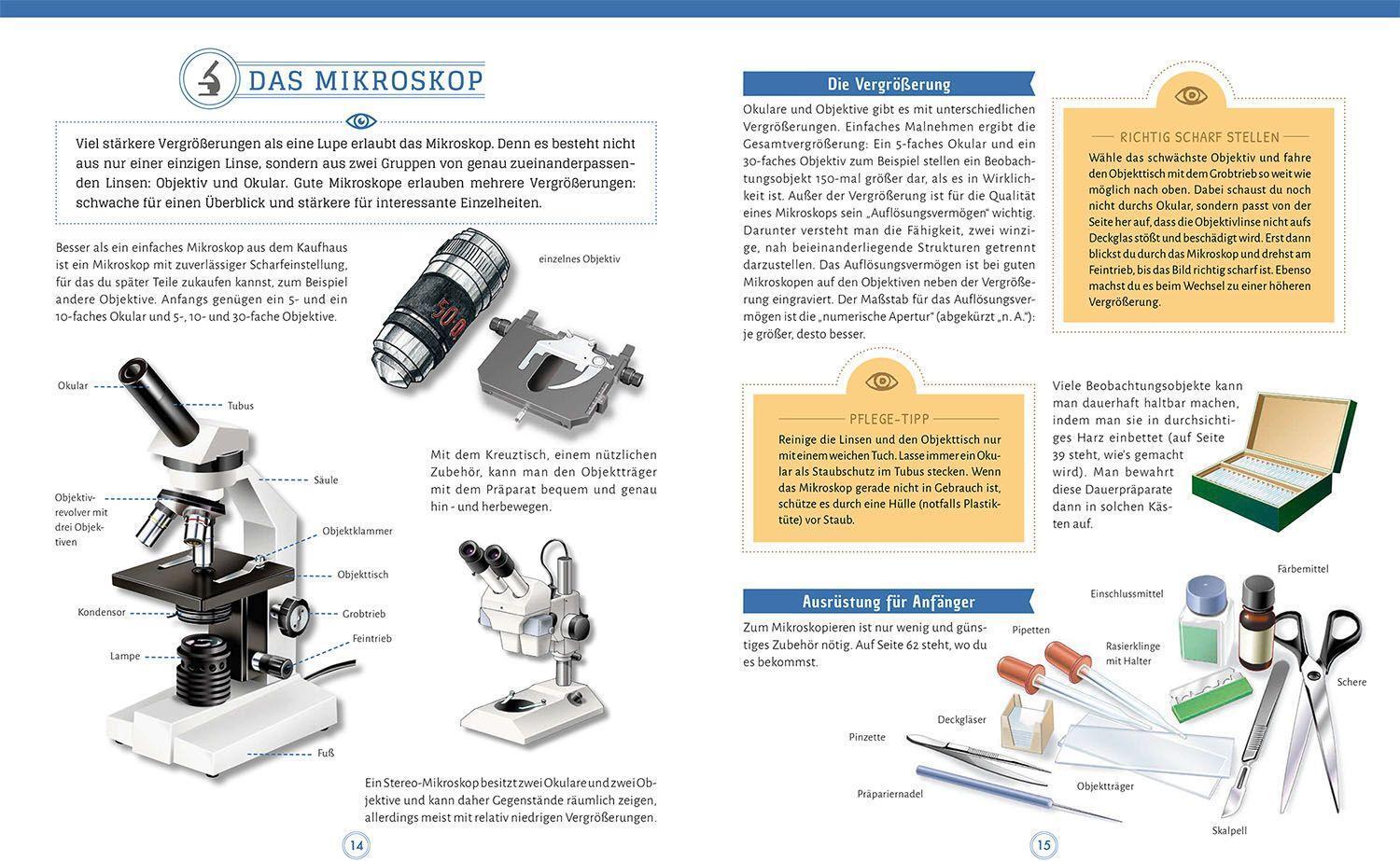 Bild: 9783440158005 | Mikroskopieren | Annerose Bommer | Buch | 64 S. | Deutsch | 2018