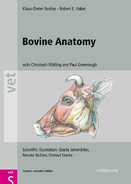 Cover: 9783899930528 | Bovine Anatomy | Klaus-Dieter Budras (u. a.) | Buch | Schlütersche Vet