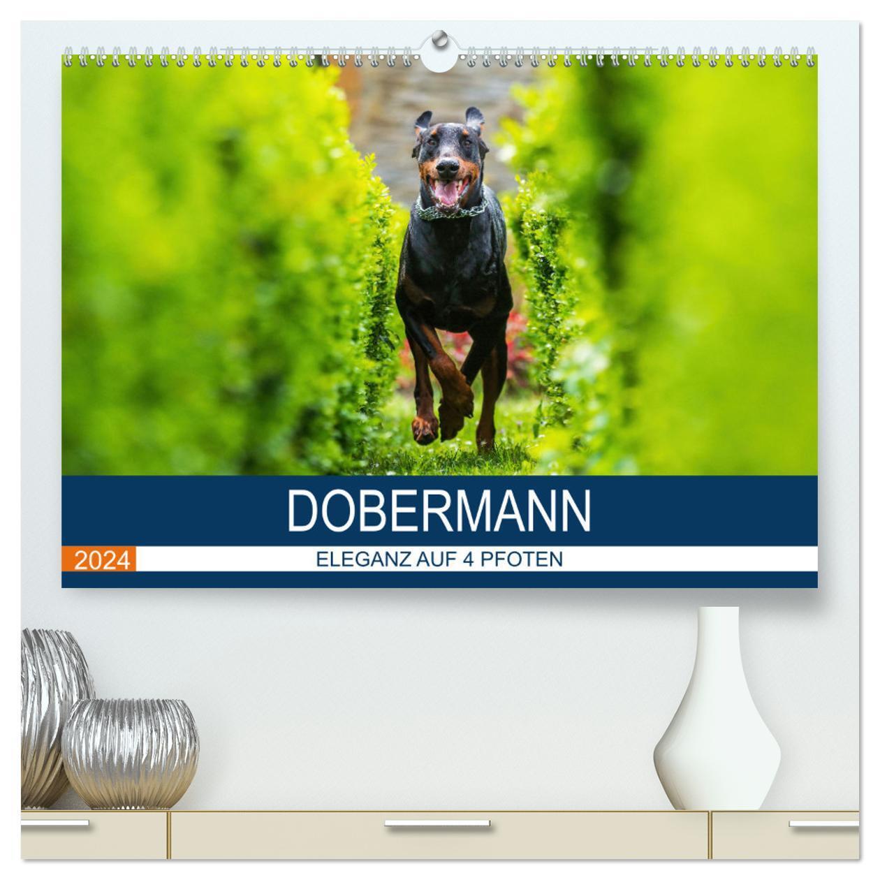 Cover: 9783383424687 | Dobermann 2024 (hochwertiger Premium Wandkalender 2024 DIN A2...