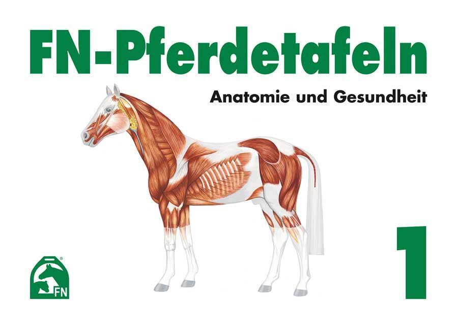 Cover: 4260292520792 | FN-Pferdetafeln. Mappe 1. Anatomie und Gesundheit | Mappe | Deutsch