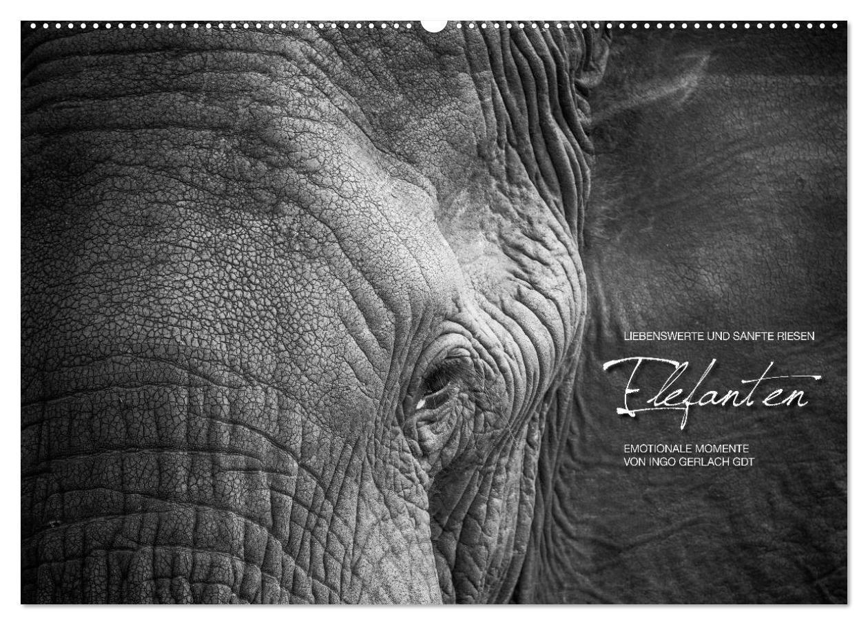 Cover: 9783383626821 | Emotionale Momente: Elefanten in black &amp; white (Wandkalender 2024...