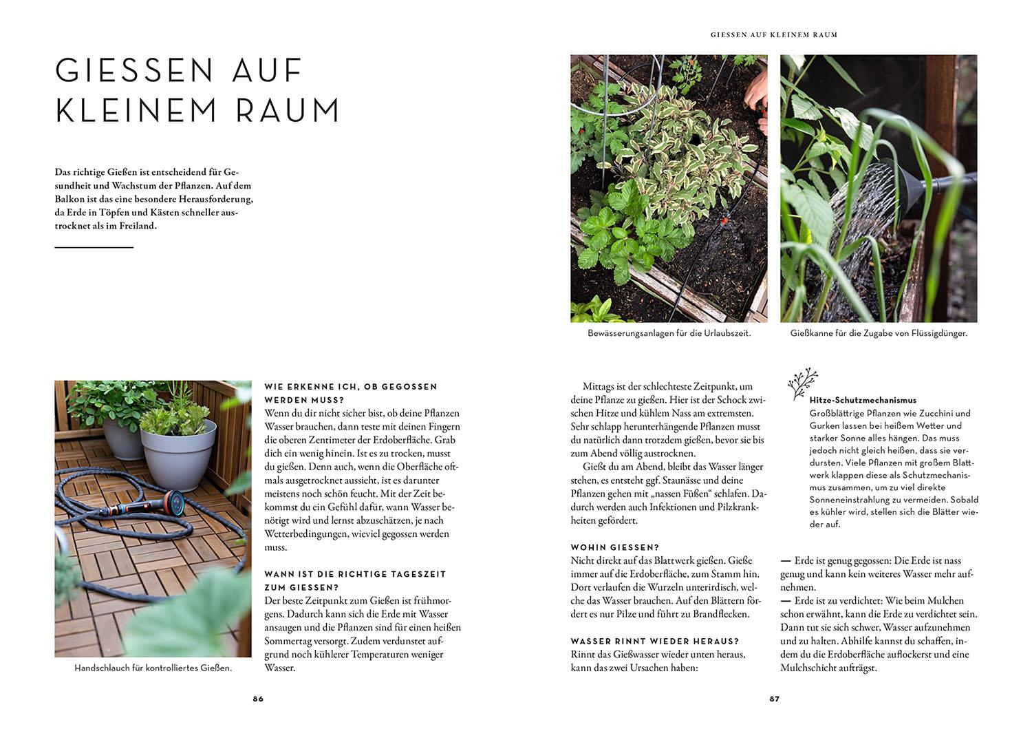 Bild: 9783440180587 | Selbstversorgung aus dem Balkon-Hochbeet | Lisa-Maria Trauer | Buch