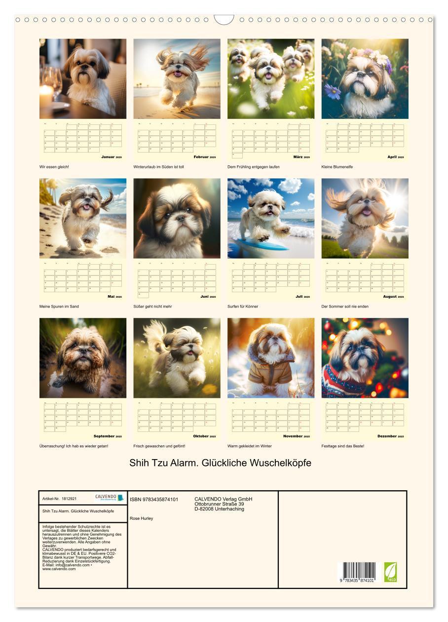 Bild: 9783435874101 | Shih Tzu Alarm. Glückliche Wuschelköpfe (Wandkalender 2025 DIN A2...