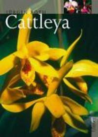 Cover: 9783800131532 | Cattleya | Jürgen Röth | Buch | Pflanzen-Monographien | Deutsch | 2001