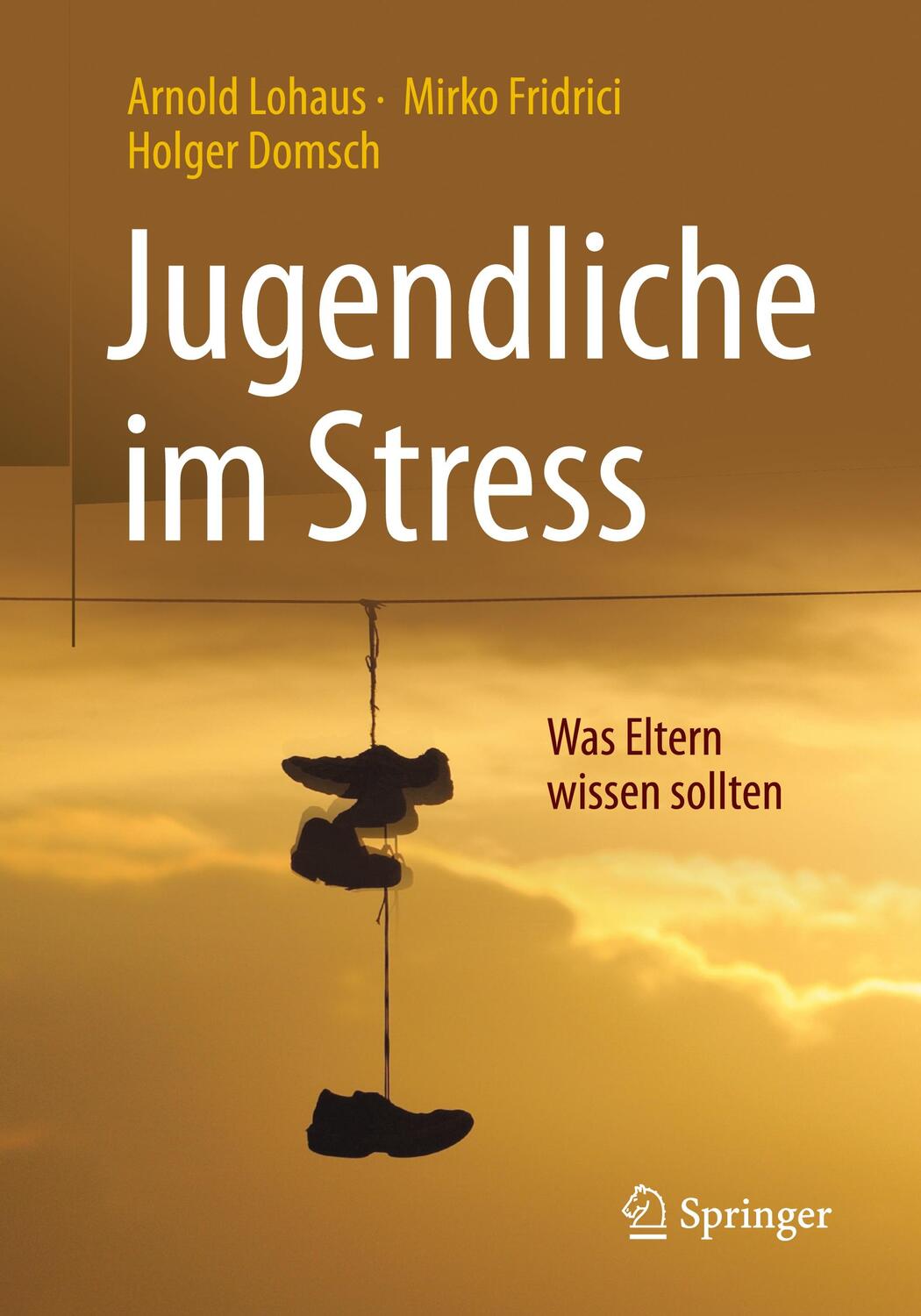 Cover: 9783662528600 | Jugendliche im Stress | Was Eltern wissen sollten | Lohaus (u. a.)