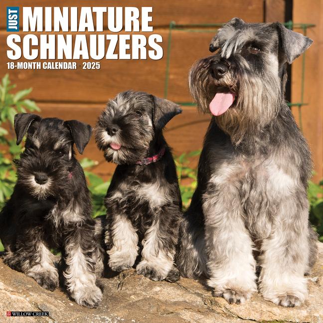 Cover: 9781549243936 | Just Miniature Schnauzers 2025 12 X 12 Wall Calendar | Press | 2025