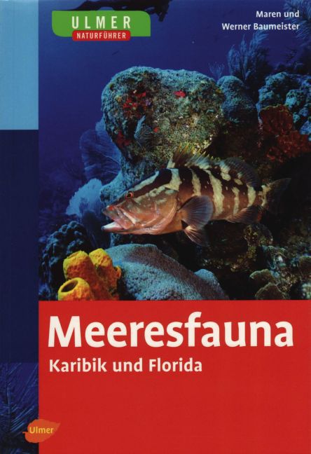 Cover: 9783800141647 | Ulmer Naturführer Meeresfauna Karibik und Florida | Werner Baumeister