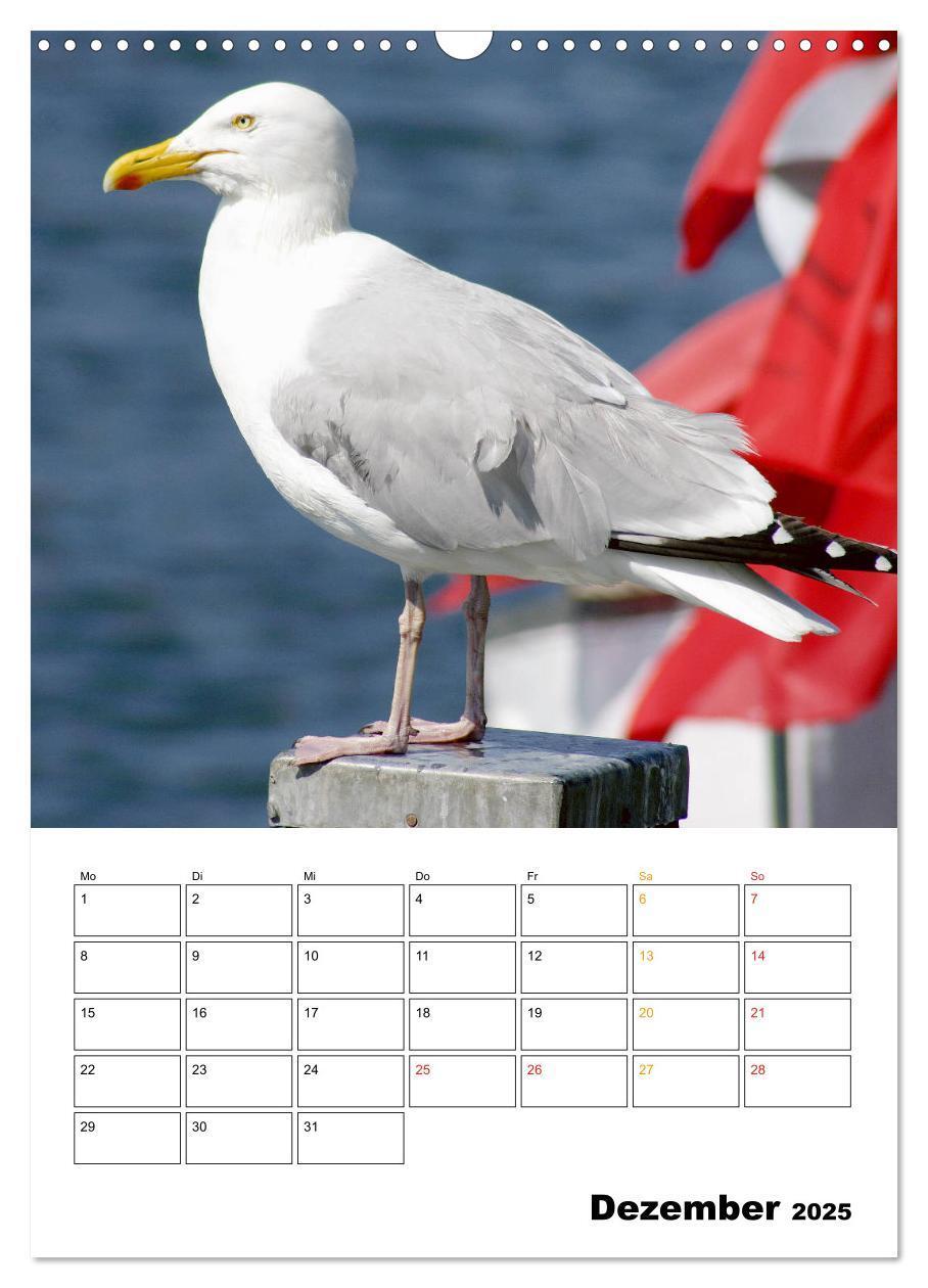 Bild: 9783435976416 | Vielseitiges Büsum (Wandkalender 2025 DIN A3 hoch), CALVENDO...