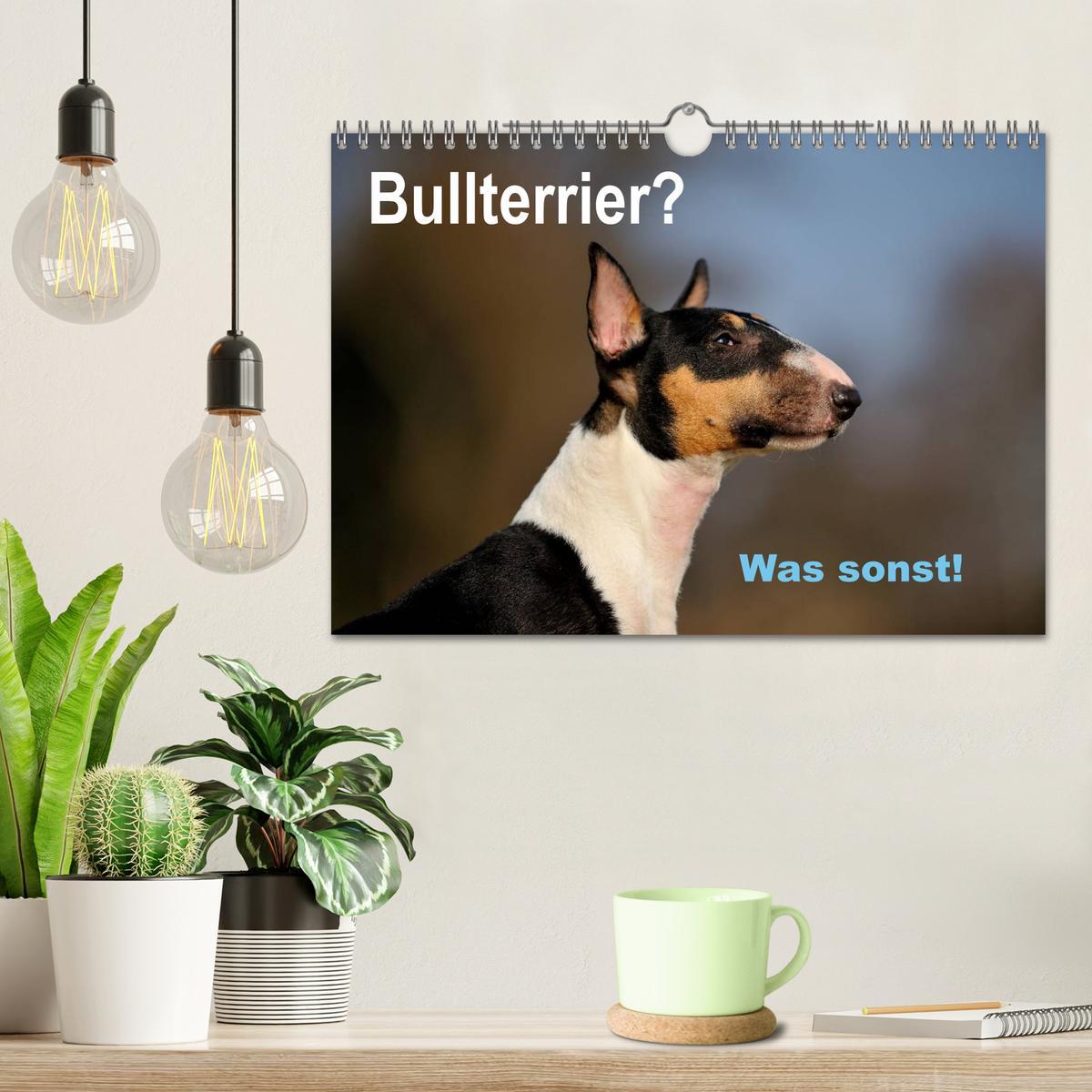 Bild: 9783435587230 | Bullterrier? Was sonst! (Wandkalender 2025 DIN A4 quer), CALVENDO...