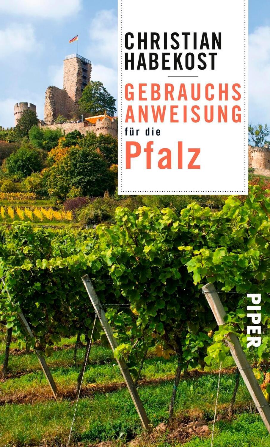 Cover: 9783492276986 | Gebrauchsanweisung für die Pfalz | Christian Habekost | Taschenbuch